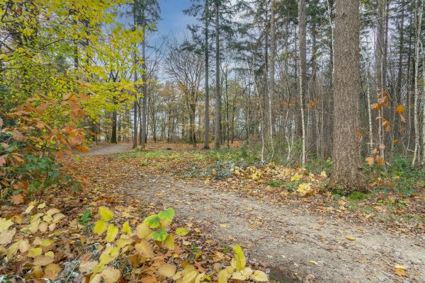 de scheleberg lunteren